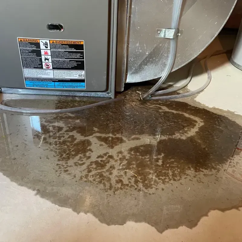 Appliance Leak Cleanup in Hokes Bluff, AL